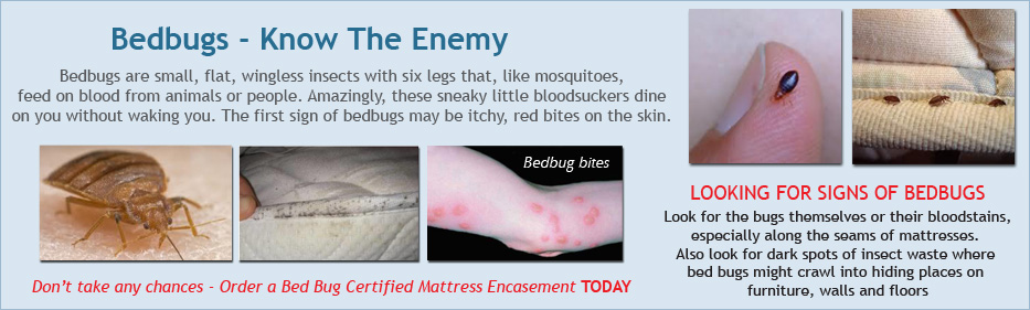 Bedbugs - Know the Enemy