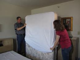 Bed bug mattress encasement