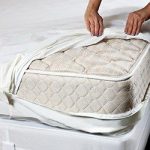 Bed Bug mattress encasement