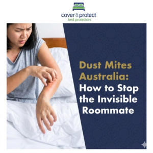 Dust Mites Australia