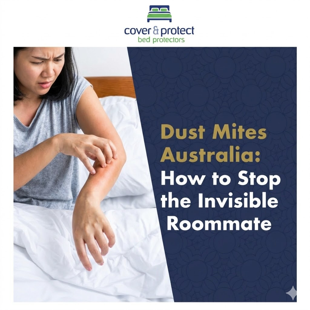 Dust Mites Australia